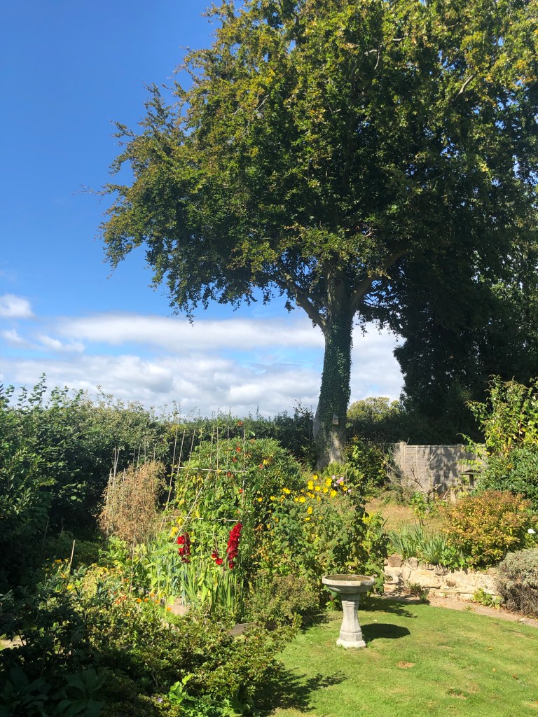 This image has an empty alt attribute; its file name is img_9537.jpg