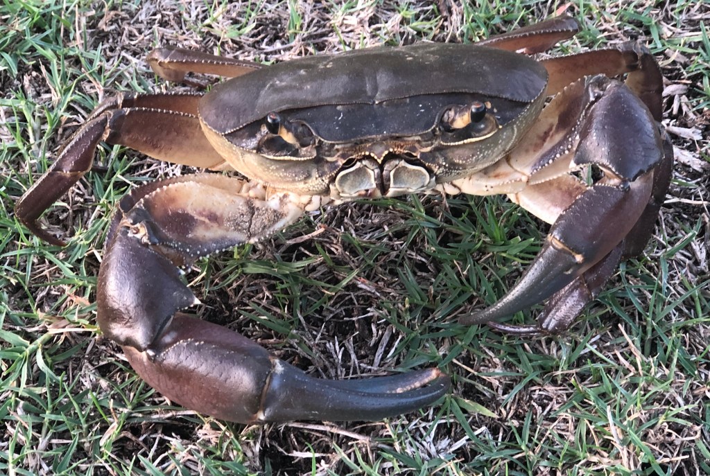 This image has an empty alt attribute; its file name is img_3226.jpg