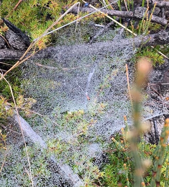 This image has an empty alt attribute; its file name is image-1.jpg