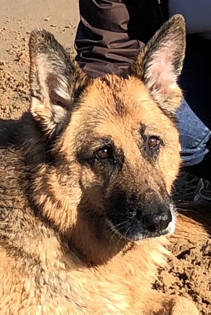 This image has an empty alt attribute; its file name is img_3814.jpg