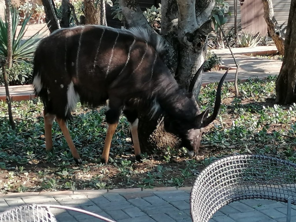 This image has an empty alt attribute; its file name is 824b80ce-9783-41b0-9e0a-e2c657cc5951.jpg