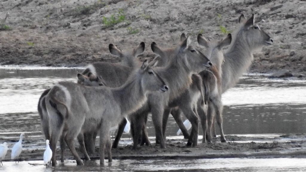 This image has an empty alt attribute; its file name is de042f1e-34f4-4b54-bb87-31563f9d8cf6.jpg