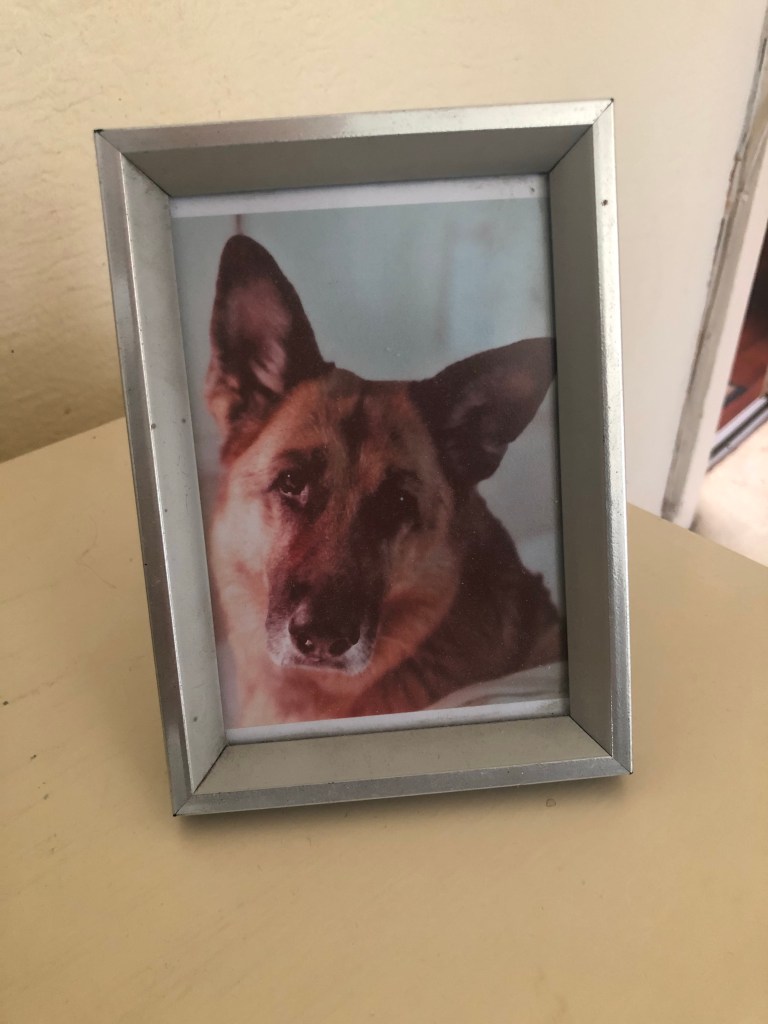 This image has an empty alt attribute; its file name is img_1111.jpg