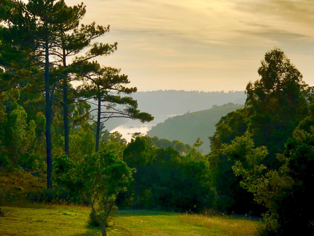 This image has an empty alt attribute; its file name is img_6033.jpg